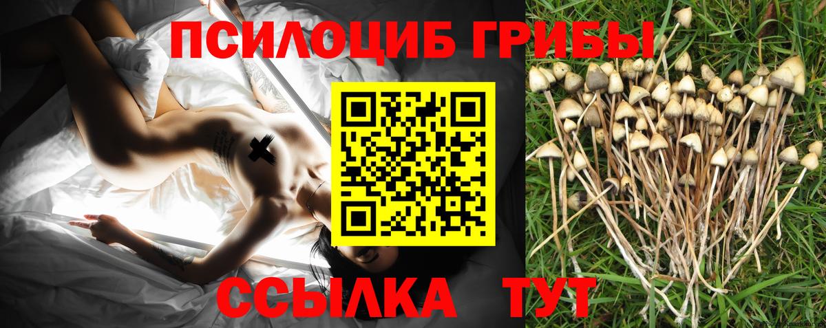 Аксай  Псилоцибиновые грибы MAGIC MUSHROOMS  Вход с VPN 